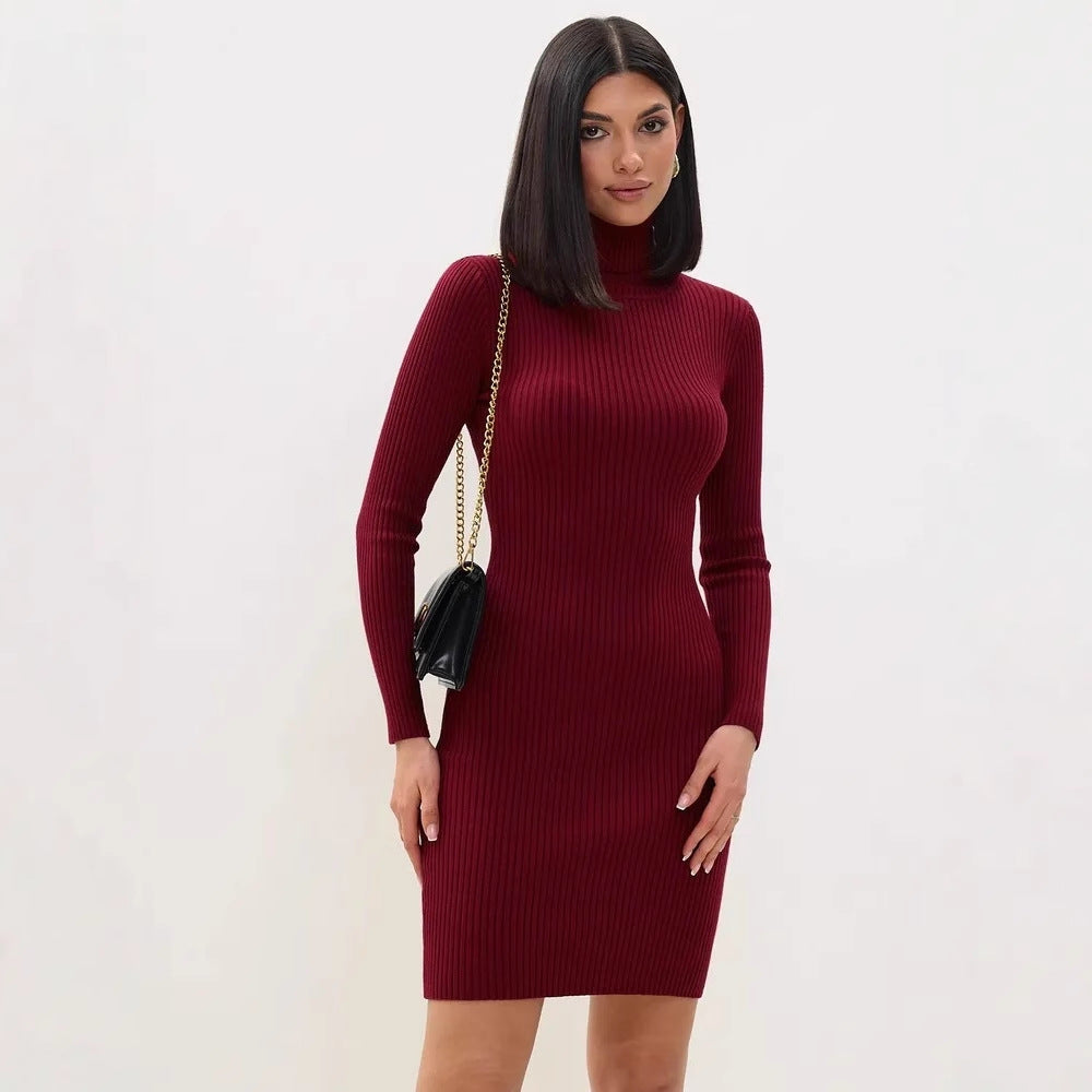 Women's Ribbed Knit Turtleneck Sweater Dress